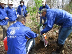 21.4.10 桜植樹2 (盛岡中津川